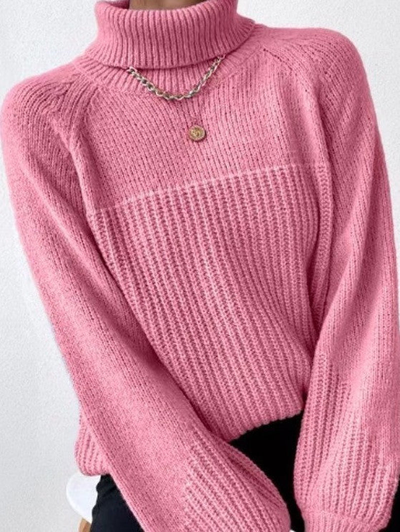 Knit Turtleneck Sweater